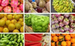 海南岛有哪些水果 海南岛主要生产什么水果 三亚特产水果有哪些