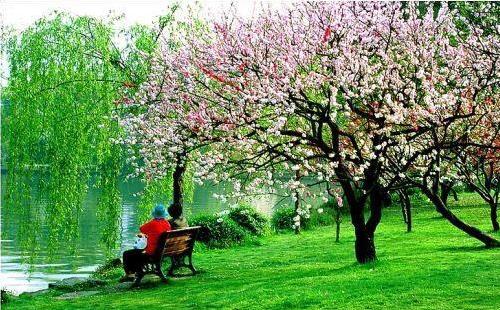 西湖什么时候去最好 西湖最佳旅游时间和季节