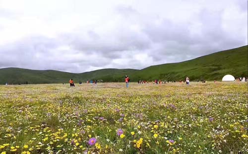 稻城亚丁在哪儿  川西康巴藏区稻城亚丁旅游攻略2017