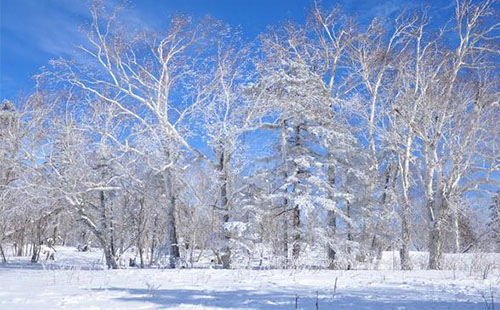 雪乡羊草山门票价格 羊草山游玩攻略