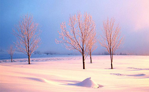 雪乡在哪 雪乡怎么去