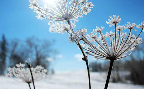 雪乡自驾游攻略 哈尔滨到雪乡自驾怎么去