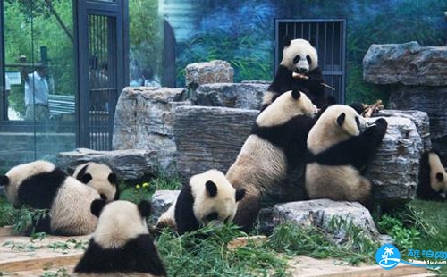 2018北京动物园停车场怎么收费 北京动物园停车场管理规定