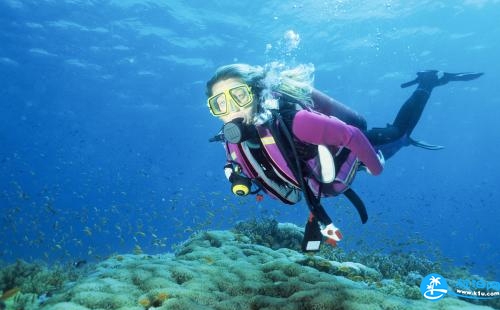 塞班考潜水证多少钱 塞班考潜水证怎么考