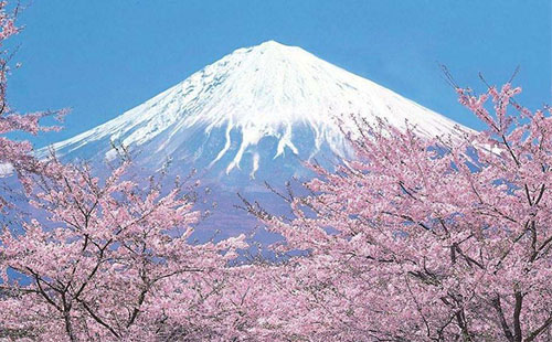 夏天可以去富士山吗 夏天去富士山合适吗