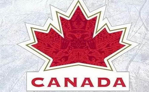 人在加拿大怎么更换中国护照