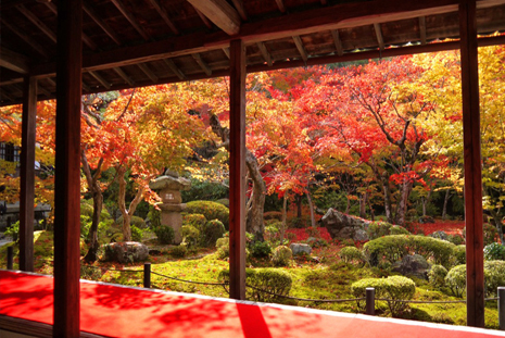 京都南山城哪里可以看枫叶