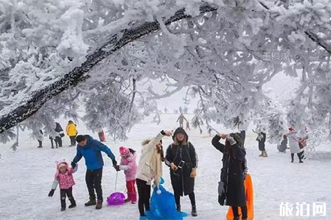 2018重庆武隆仙女山下雪了吗 仙女山雪地婚礼