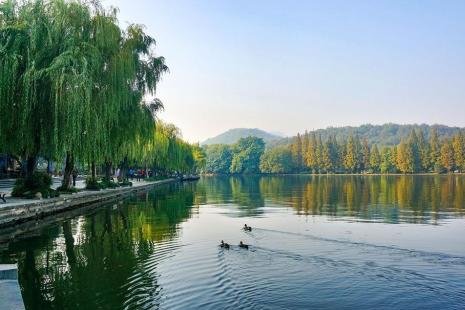 2019杭州公园卡新增景点+年卡价格+办理地点+使用范围