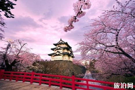 2019北海道樱花季观赏地点推荐 北海道有哪些旅游景点