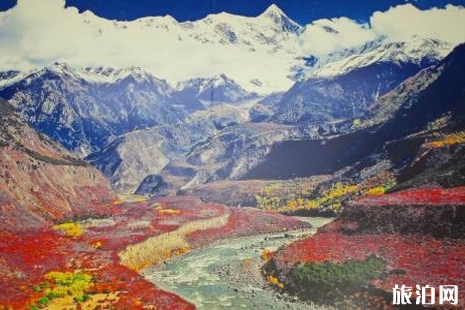 西藏雅鲁藏布大峡谷住宿攻略
