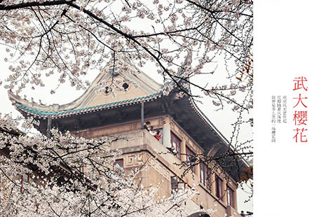 三月来武汉玩什么 武大樱花开放了吗