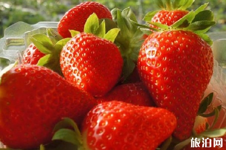 武汉哪里有摘草莓的 2019武汉摘草莓好去处+交通