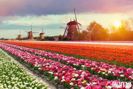 2019年三月去荷兰旅游景点推荐