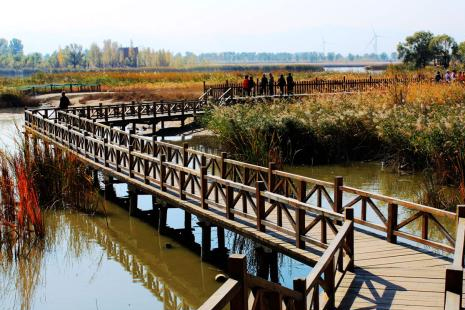 北京野鸭湖湿地公园3月开放 2019北京野鸭湖门票+优惠政策