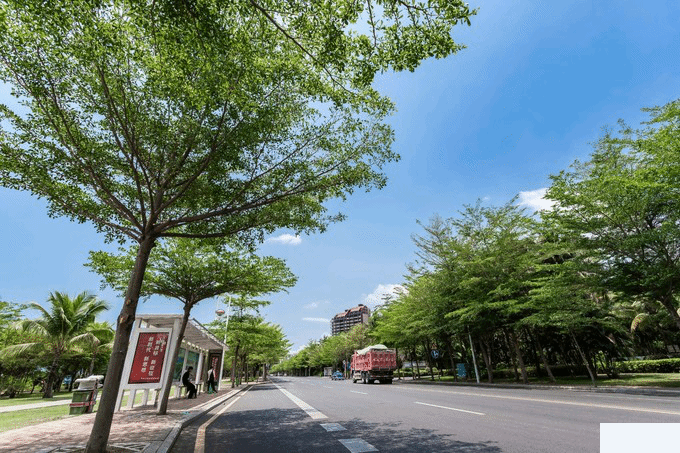 三亚五天四晚自由行旅游攻略超详细版