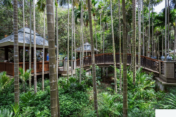 三亚五天四晚自由行旅游攻略超详细版