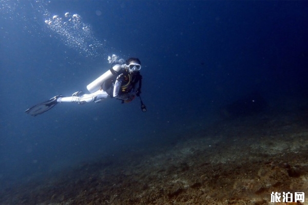 巴厘岛潜水攻略 巴厘岛潜水哪里好