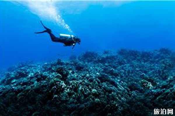 巴厘岛潜水最好的地方有哪些