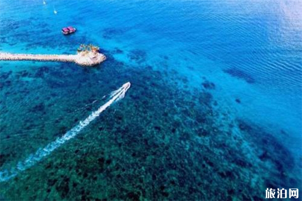 马来西亚卡帕莱与塞班岛哪个潜水好