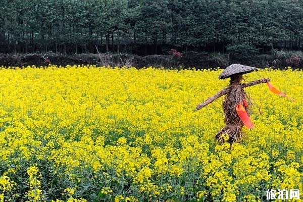 婺源秋季必去的景点推荐