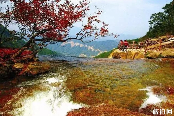 嵩县秋季旅游景点推荐