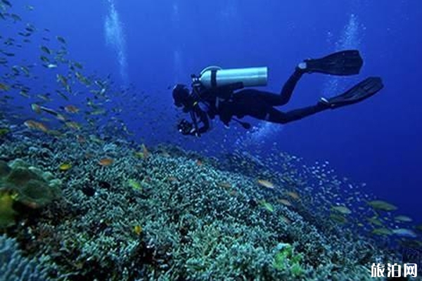 巴厘岛本岛潜水点推荐