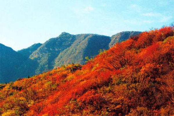 嵩山秋季红叶观赏线路攻略