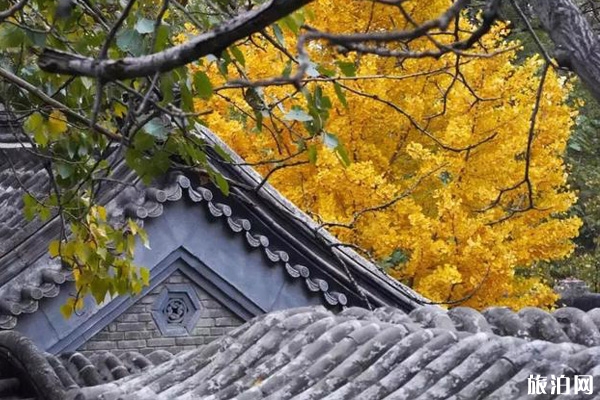 北京海淀秋天哪里好玩