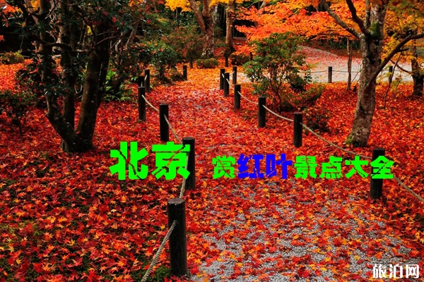 2019北京秋天赏红叶的地方有哪些