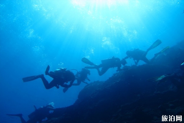 塞班岛潜水最佳时间 塞班岛潜水贵吗