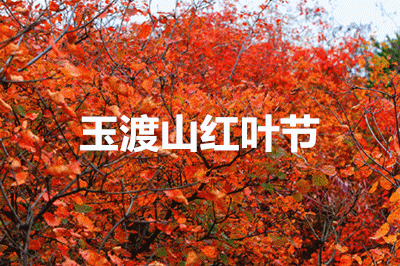 北京11月看红叶的地方