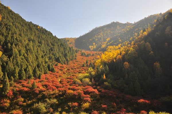 互助北山国家森林公园景区介绍