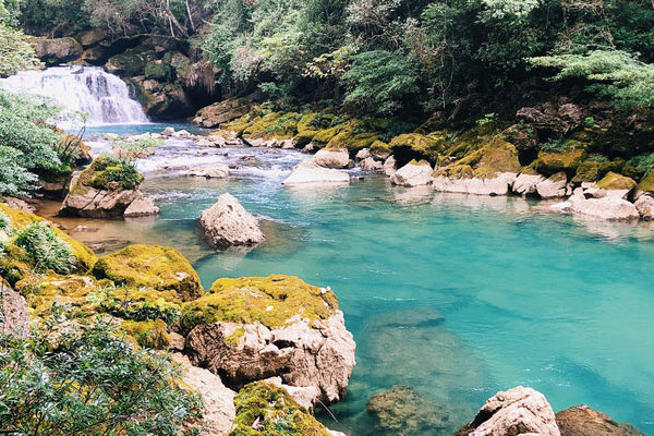 2023贵州茂兰国家级自然保护区游玩攻略 - 门票价格 - 地址