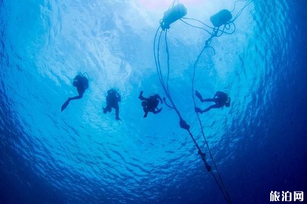 冬天潛水哪里最好 這9大潛水地很經典