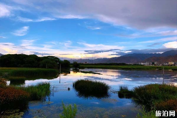 拉鲁湿地自然保护区