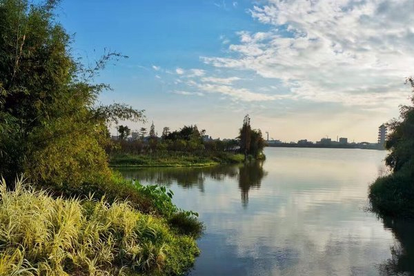 2024华阳湖湿地公园游玩攻略-门票价格-景点信息