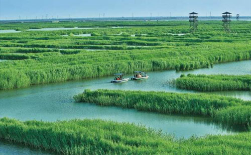 高邮湖芦苇荡湿地公园什么季节最美 游玩攻略