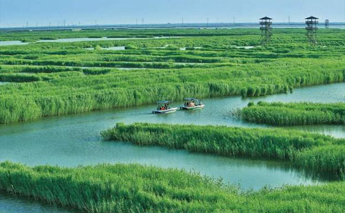 高邮湖芦苇荡湿地公园什么季节最美 游玩攻略