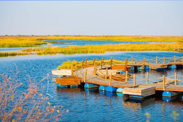 千鸟湖湿地公园