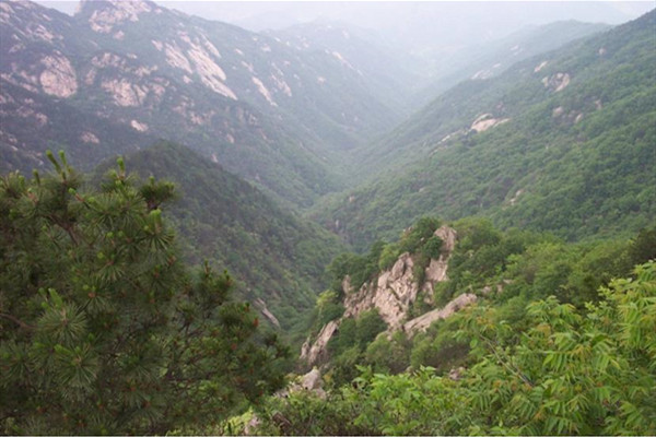 孝昌双峰山国家森林公园
