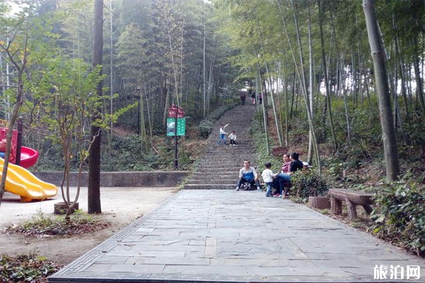 安庆莲洞国家森林公园