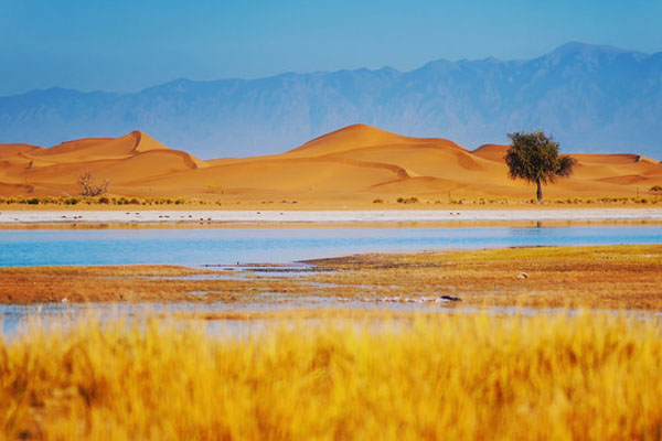 2024腾格里沙漠天鹅湖旅游攻略-门票价格-景点信息
