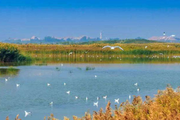下渚湖国家湿地公园门票 开放时间