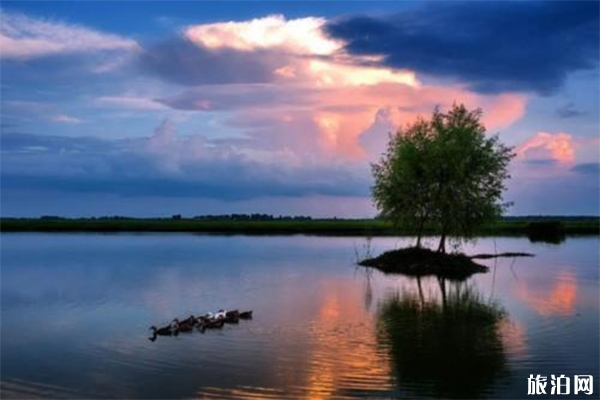 2024安徽阜南王家坝国家湿地公园游玩攻略-门票价格-景点信息