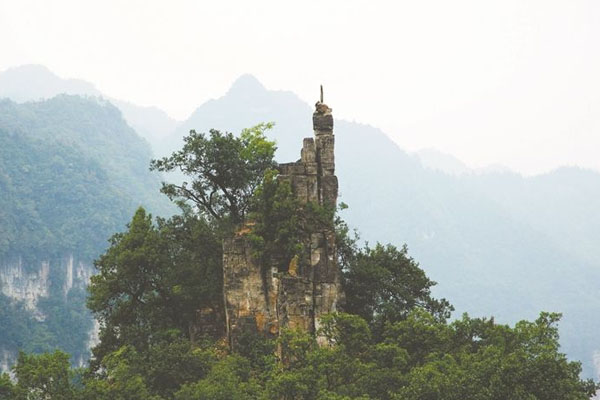 油杉河风景区