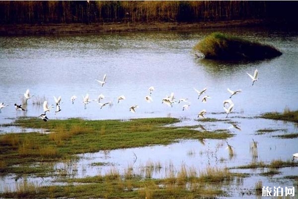 2024西洞庭湖国家城市湿地公园旅游攻略-门票价格-景点信息
