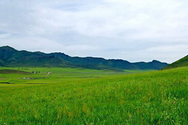 扎鲁特山地草原