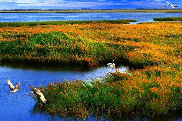 红星湿地国家级自然保护区