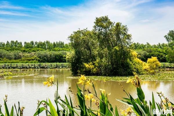 广州南沙湿地公园游玩攻略2020